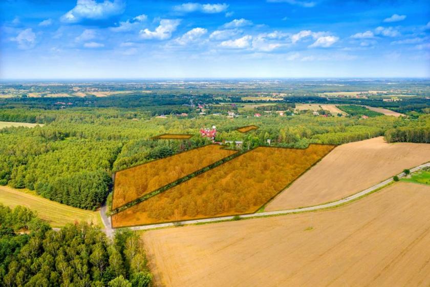 Warunki zabudowy – ile się na nie czeka i czy można je zmienić?